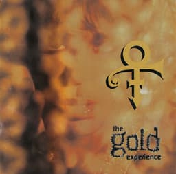 The Gold Experience cover art