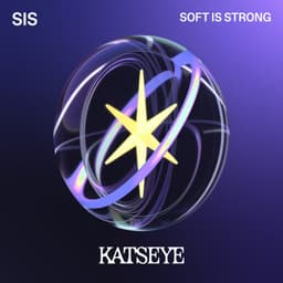 SIS (Soft Is Strong) cover art