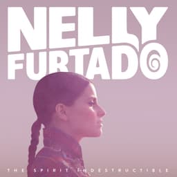 The Spirit Indestructible cover art