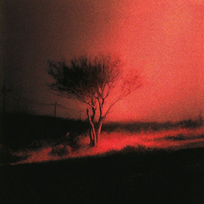 Piss in the Wind cover art