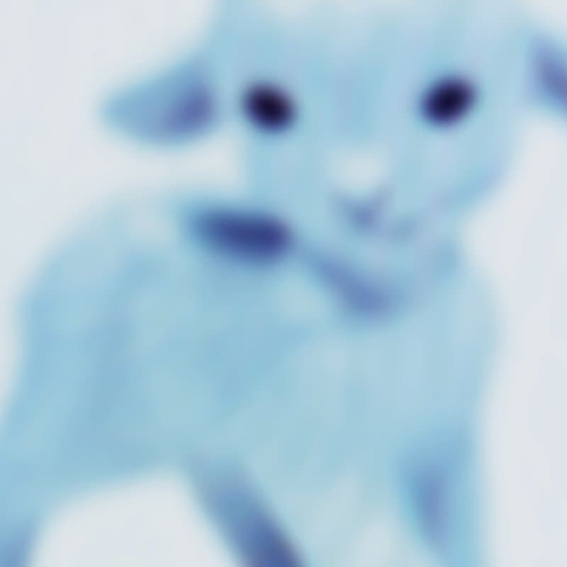Portada de jg