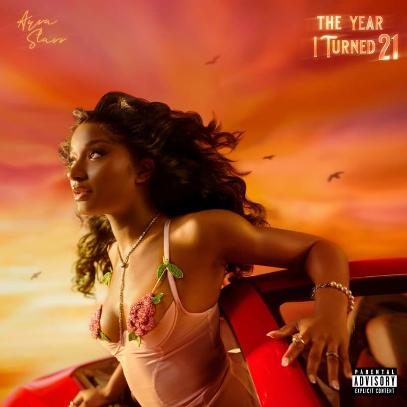 Portada de The Year I Turned 21
