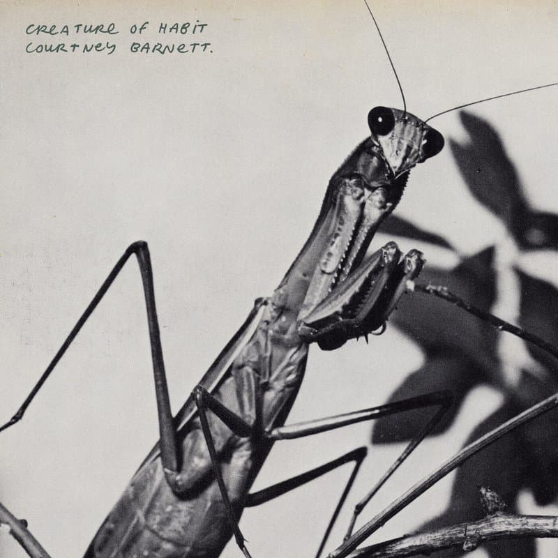 Portada de Creature of Habit