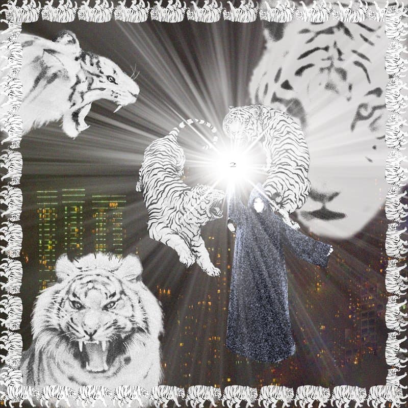 Portada de White Tiger