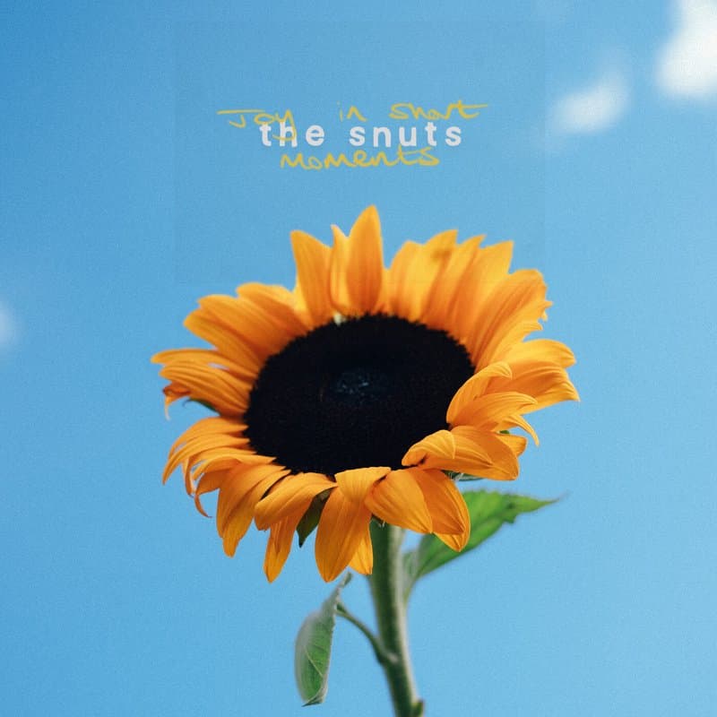 Portada de Joy in Short Moments