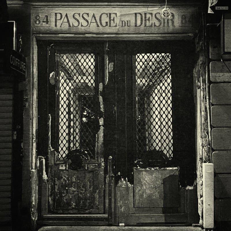 Portada de Passage du Desir