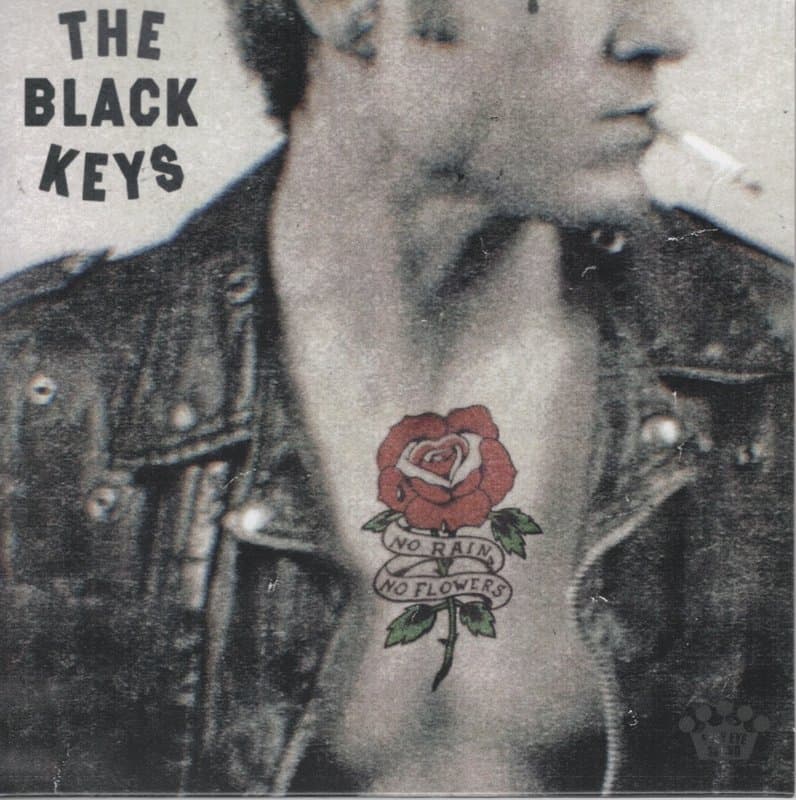 Portada de No Rain, No Flowers