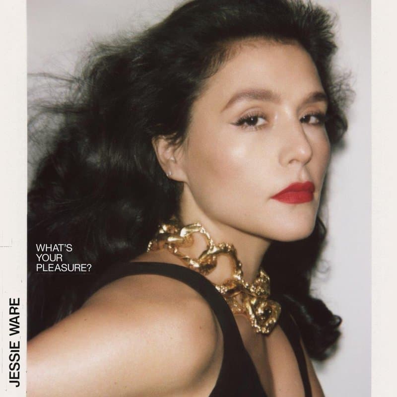 Portada de What’s Your Pleasure?