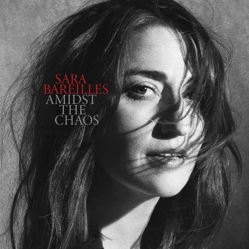 Portada de Amidst the Chaos