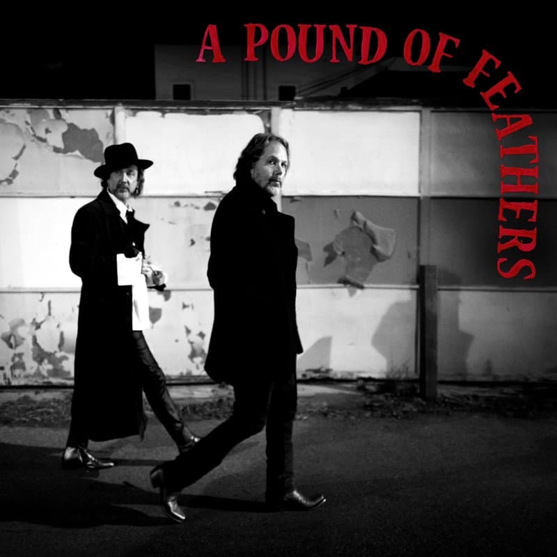 Portada de A Pound of Feathers