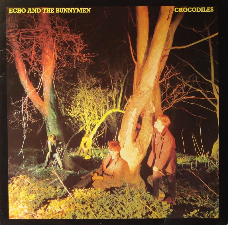 Crocodiles cover art