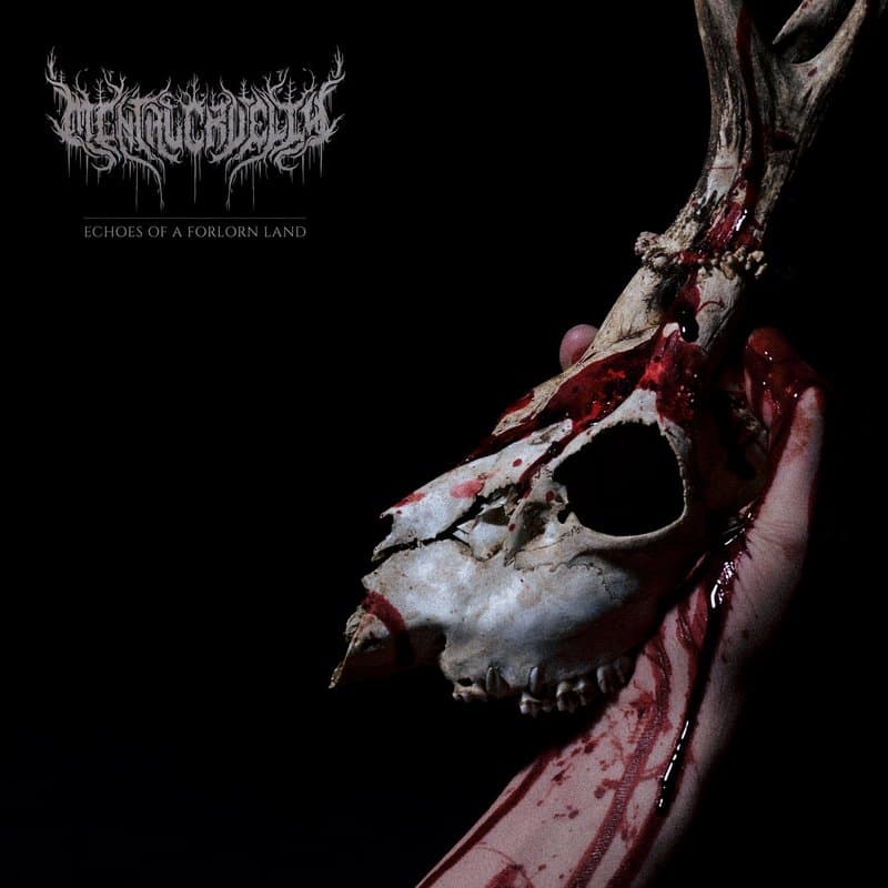 Portada de Echoes of a Forlorn Land