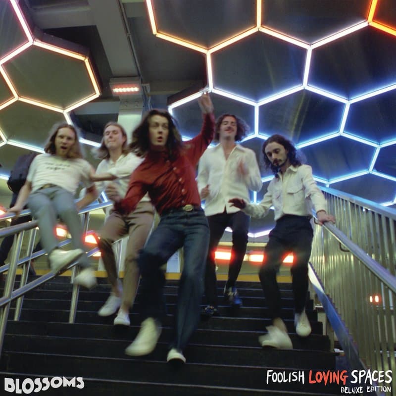 Foolish Loving Spaces cover art
