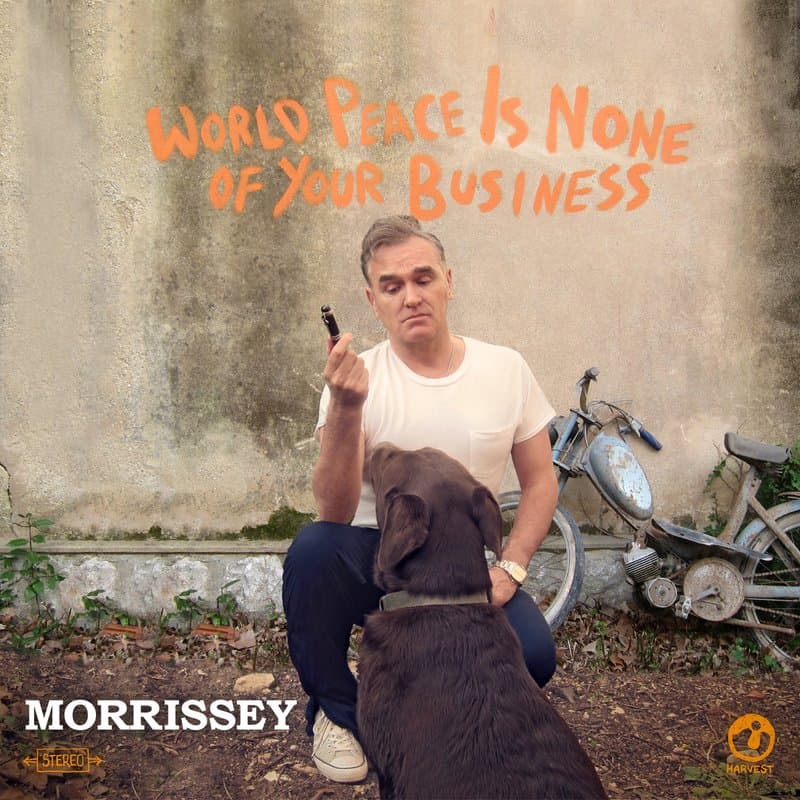 Portada de World Peace Is None of Your Business
