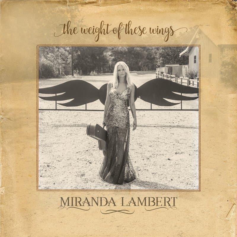 The Weight of These Wings cover art