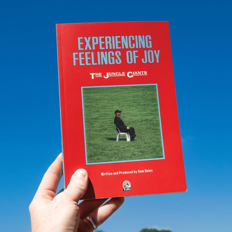 Portada de Experiencing Feelings of Joy